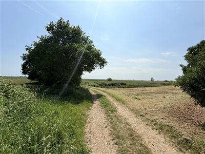 Picture 43